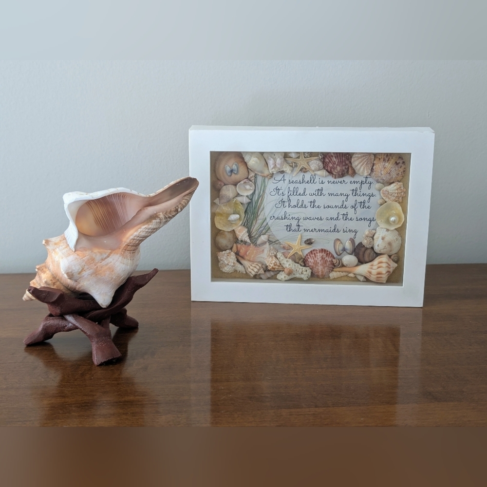 Framed Coastal Seashell Art “Songs that Mermaids Sing” & Fox Conch Decor | - Picture 9 of 9